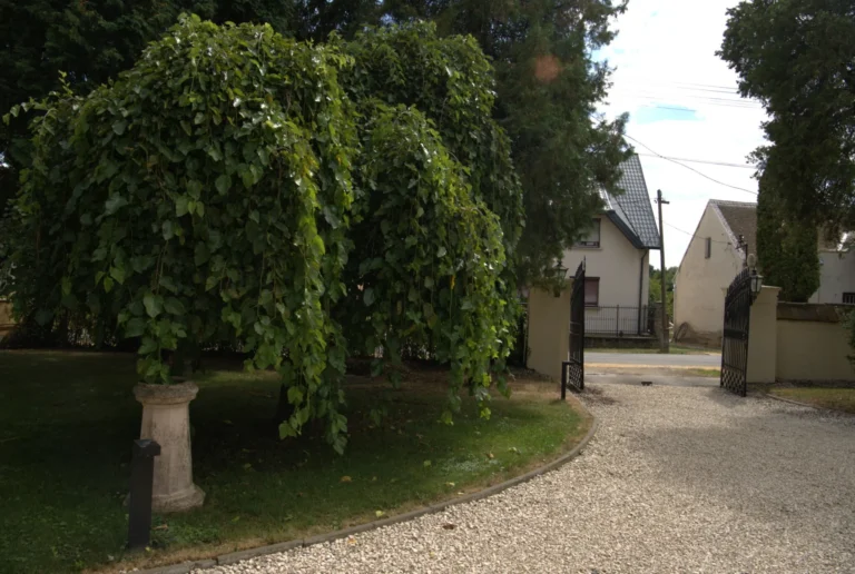 Bükfalva Kúria vendégház, Bükfürdő